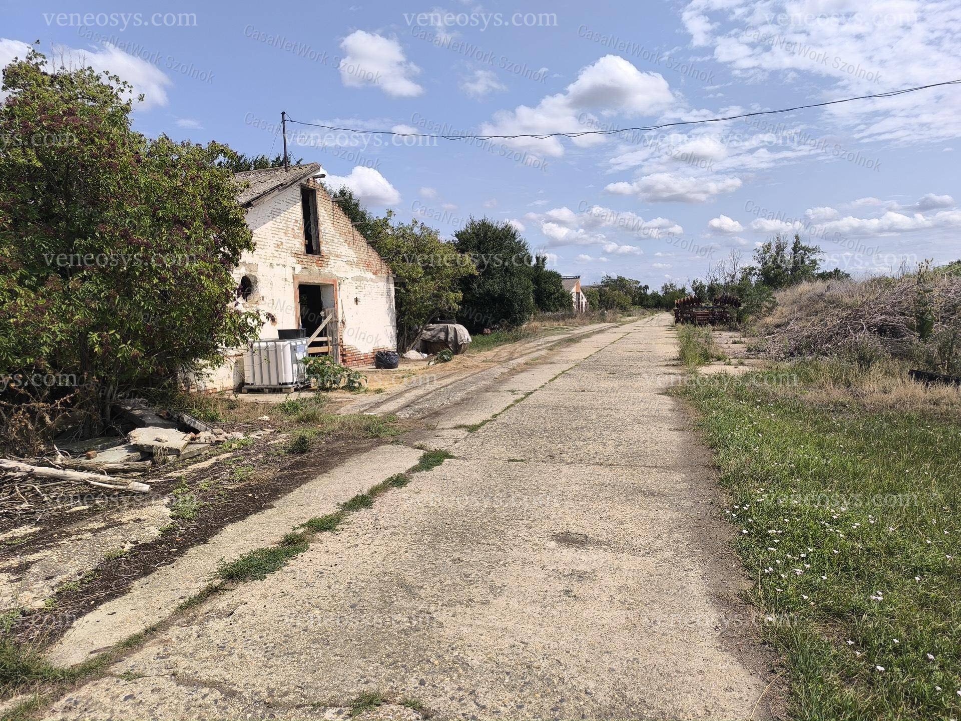 Kép 21