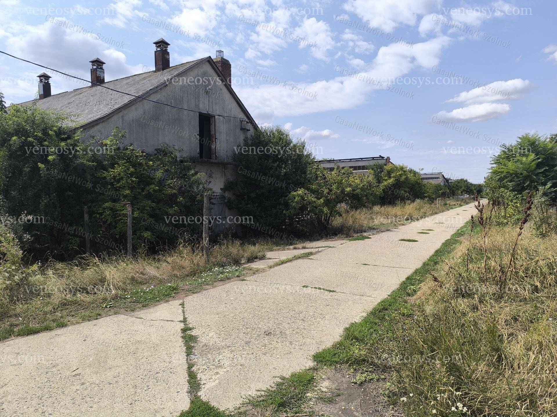 Kép 19