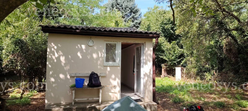 Kép 4