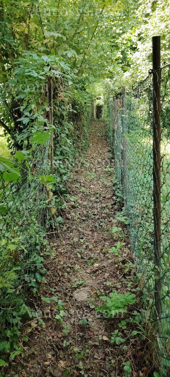 Kép 7