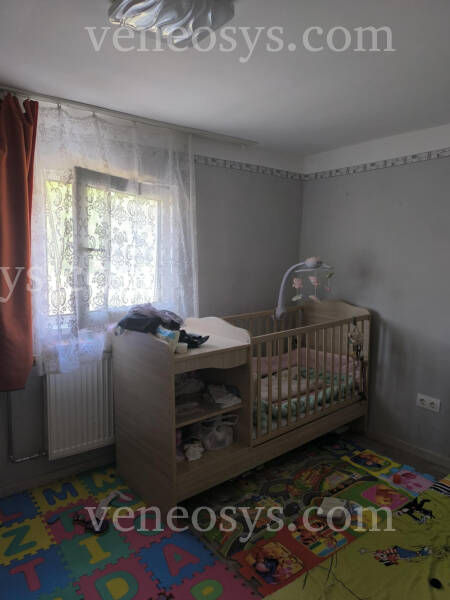 Kép 6