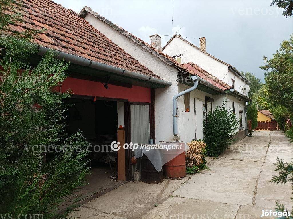 Kép 7