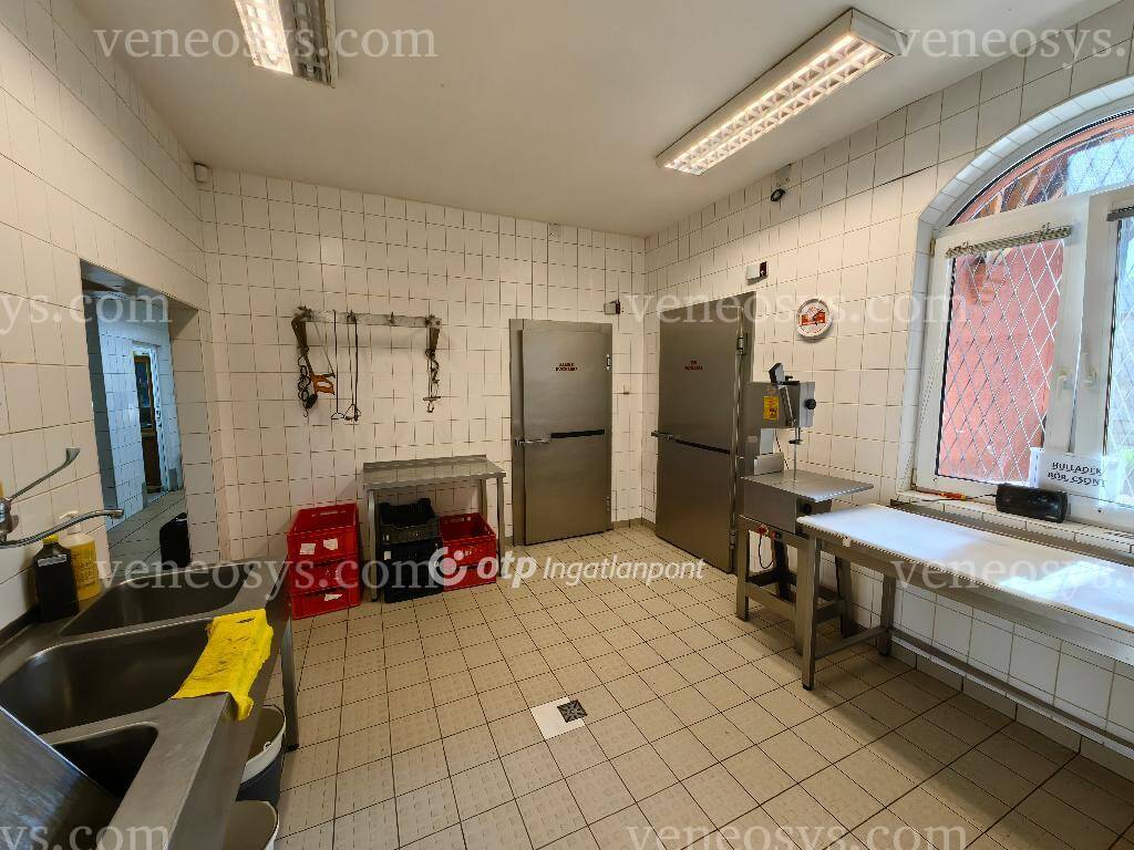 Kép 15