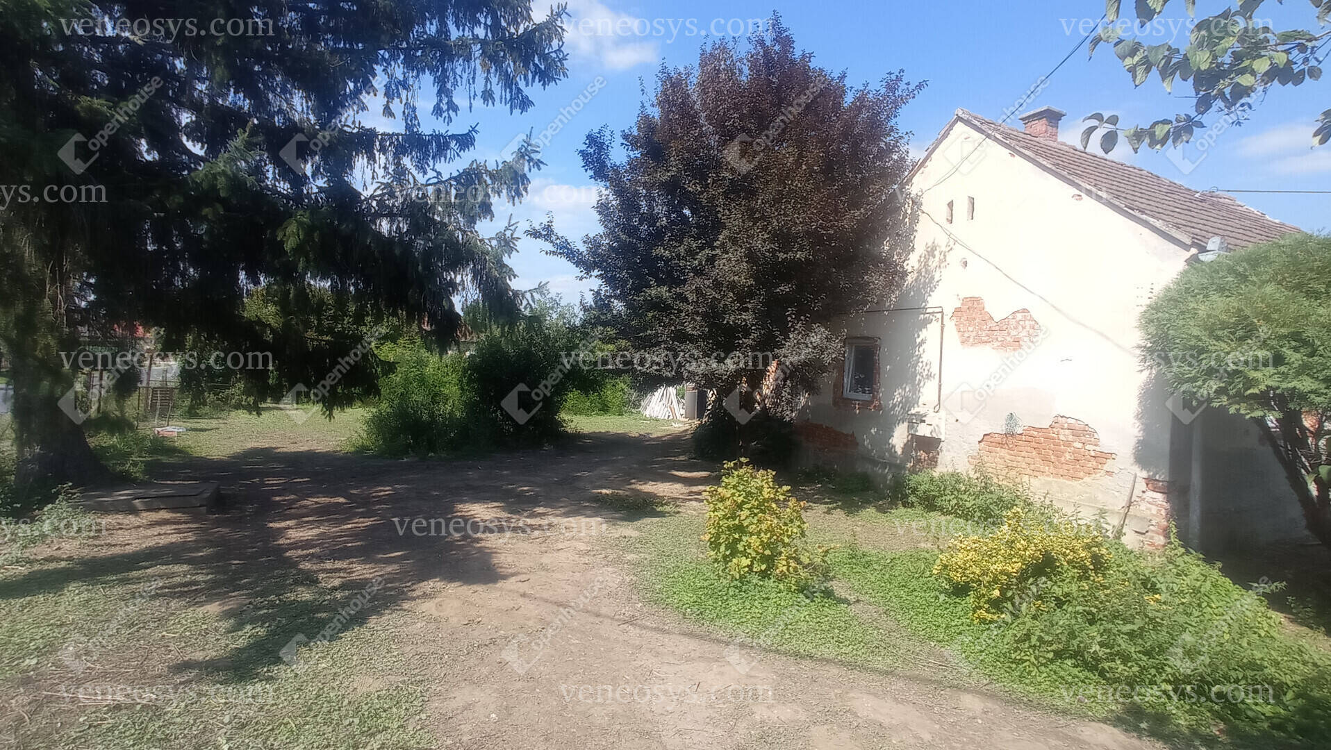 Kép 20