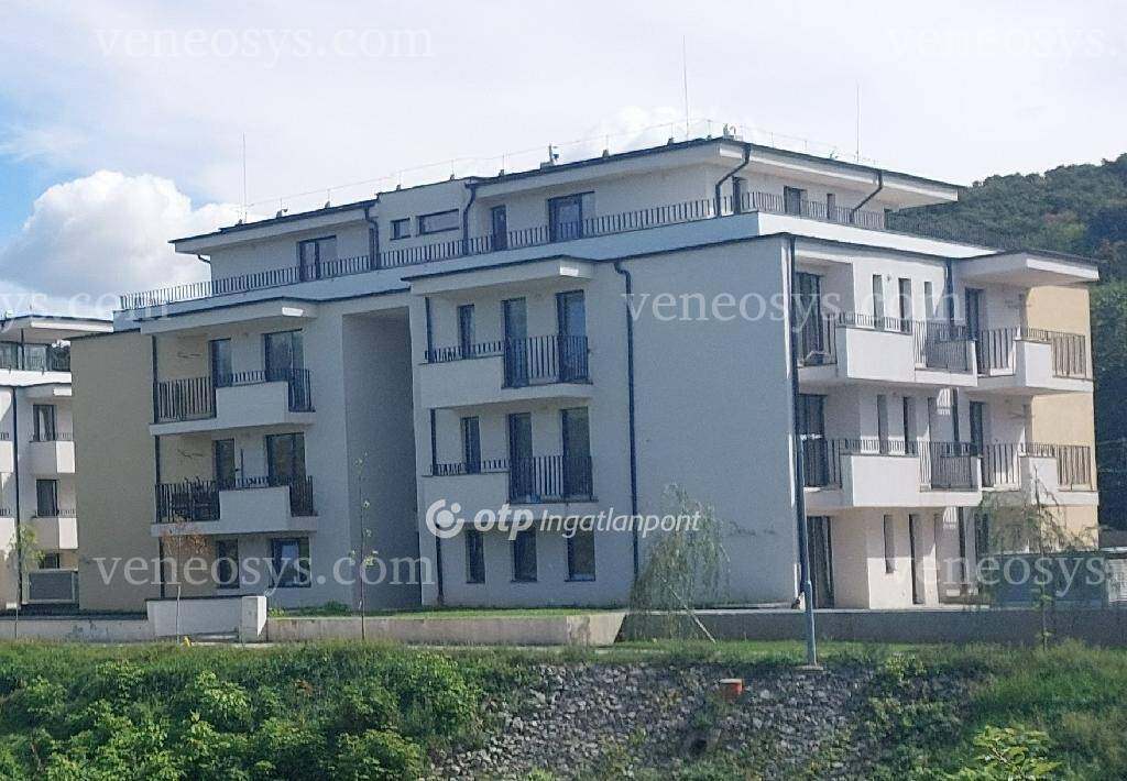 Kép 2