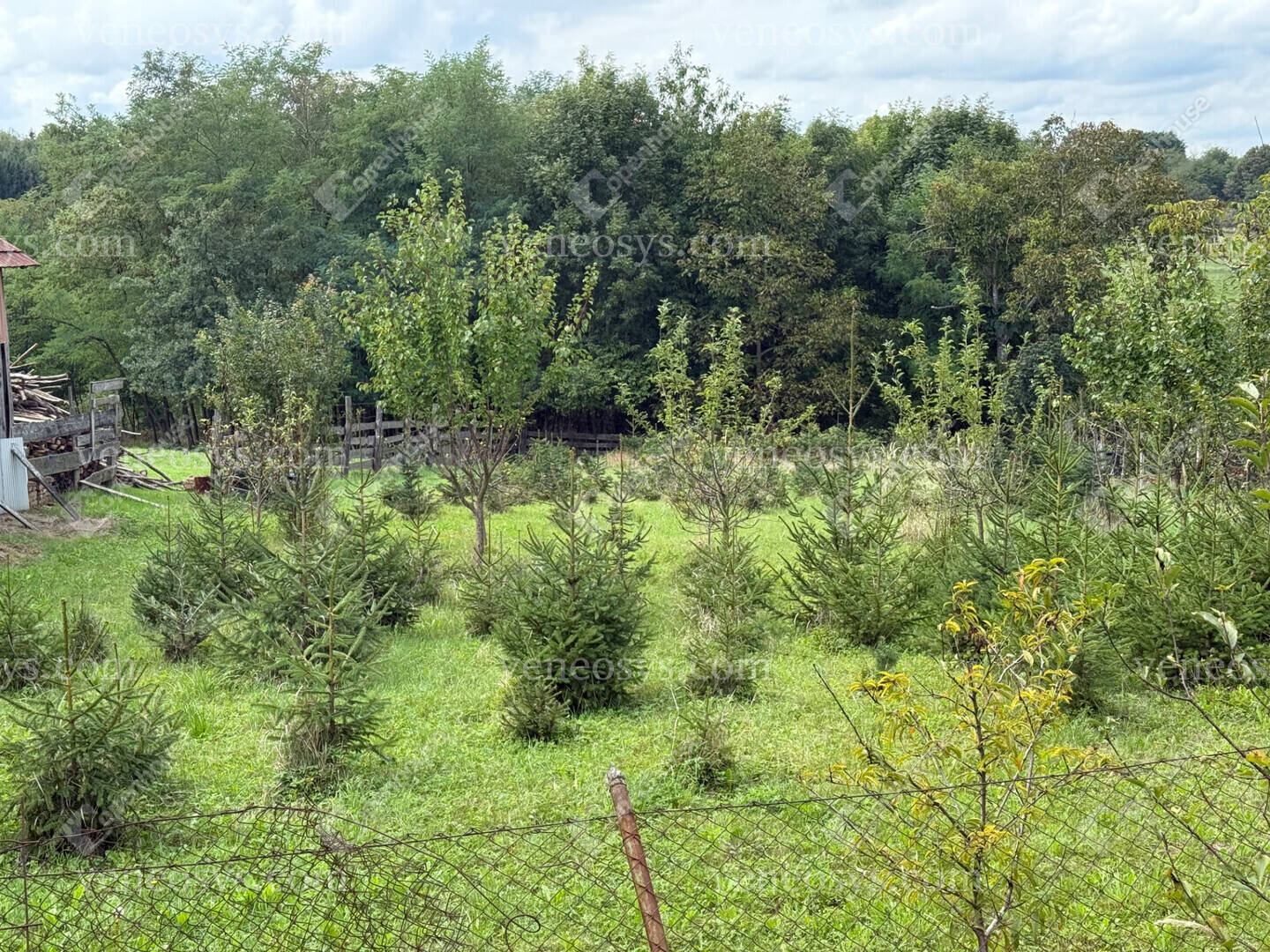 Kép 24