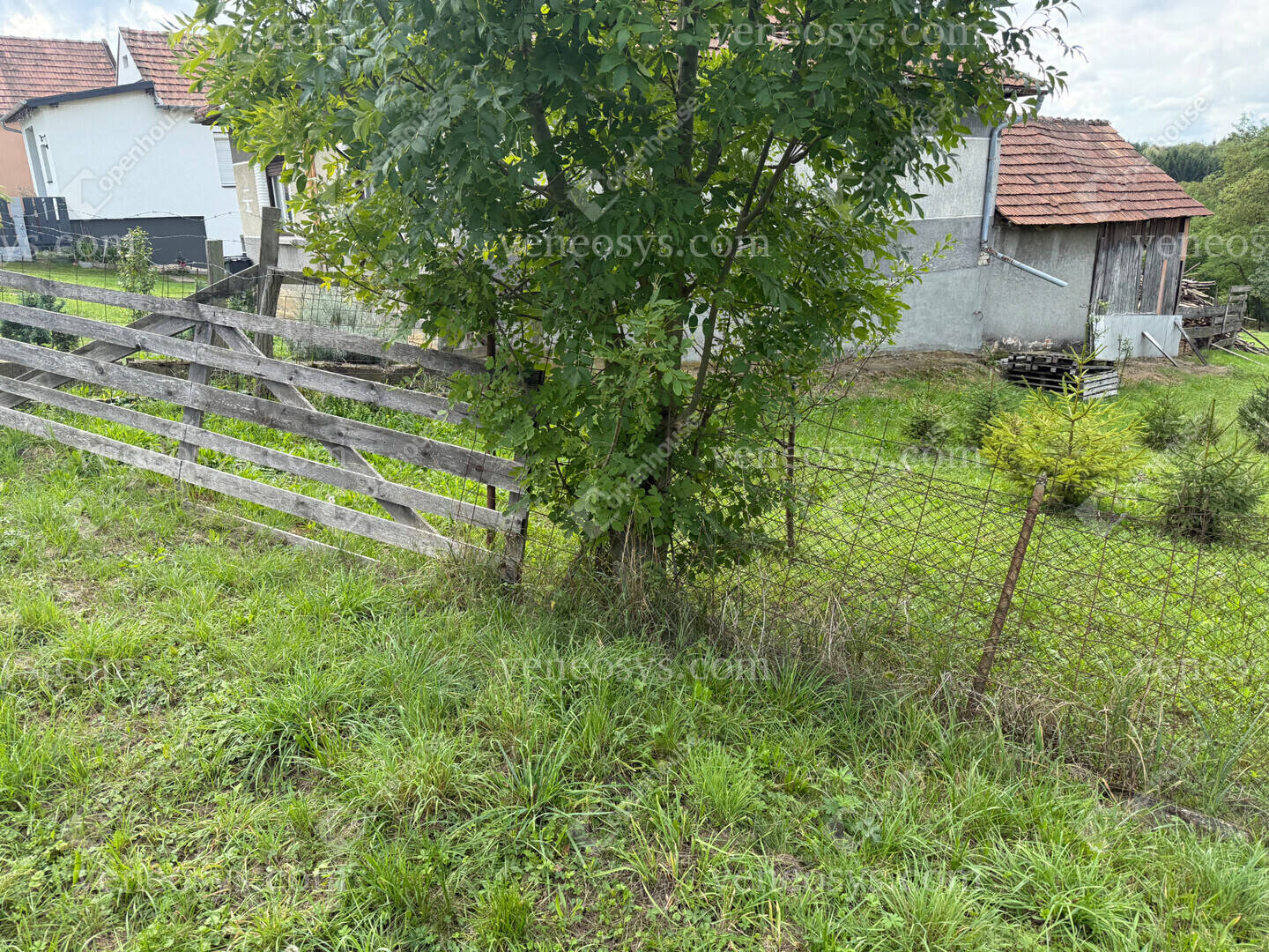 Kép 17