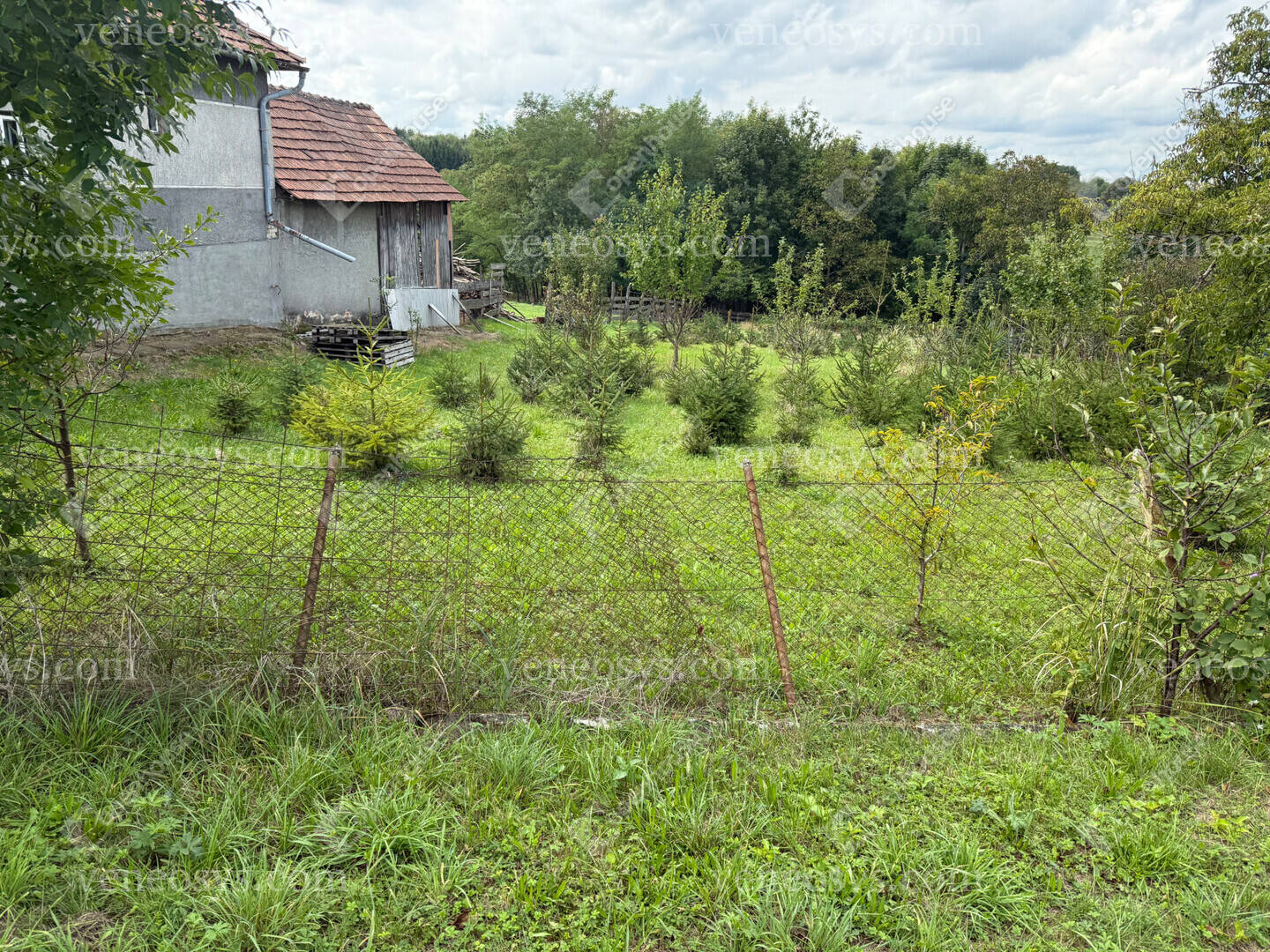 Kép 18