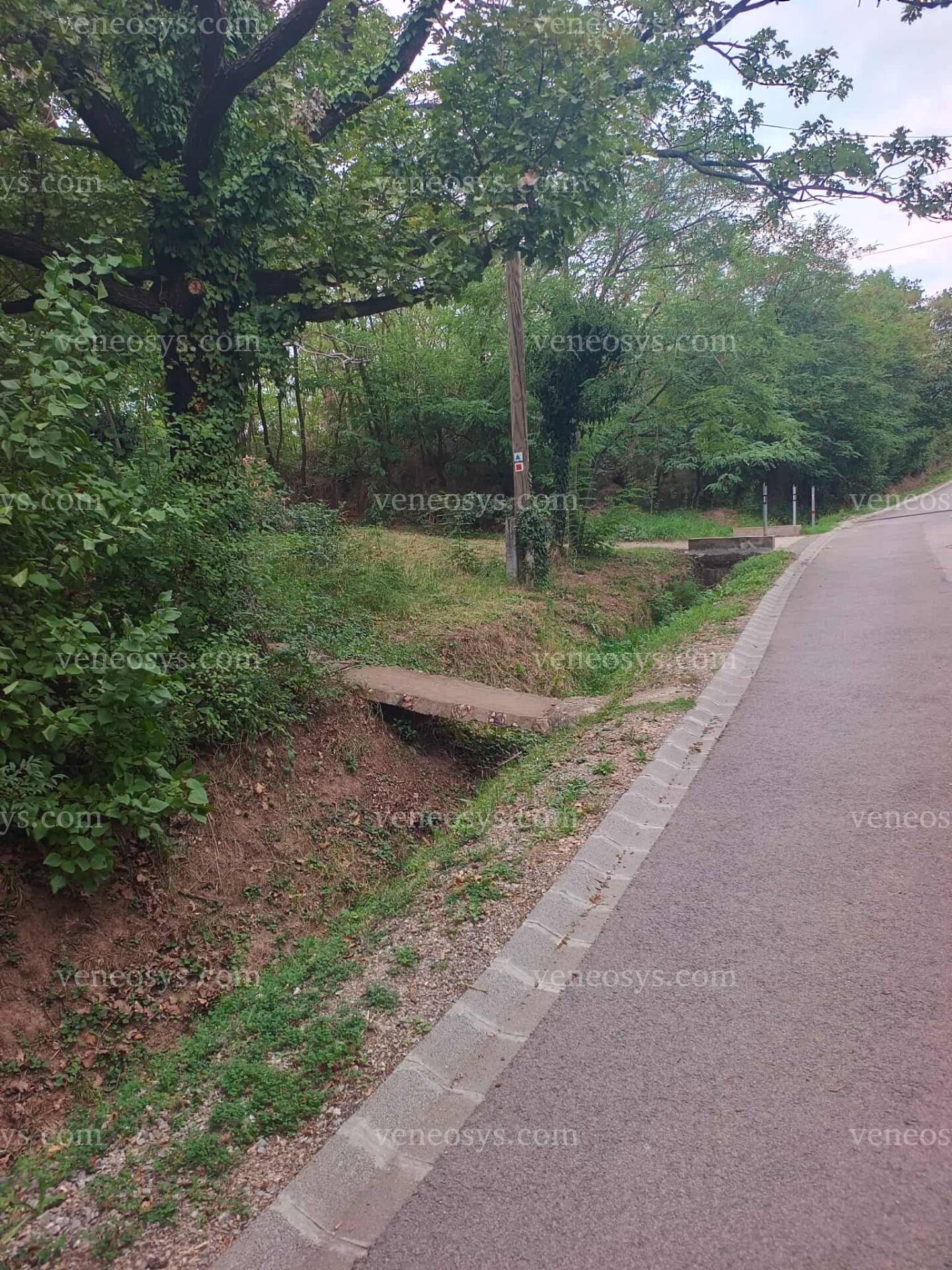 Kép 2