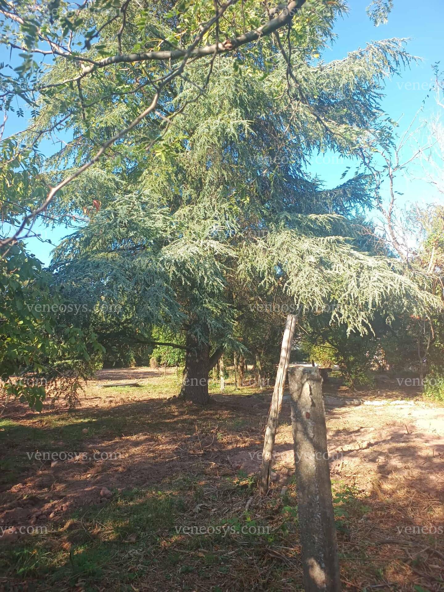 Kép 11