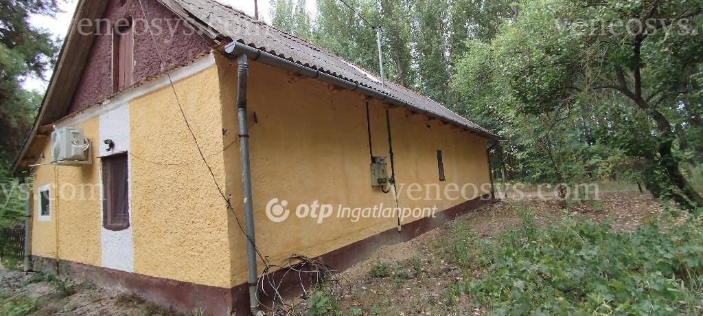 Kép 13