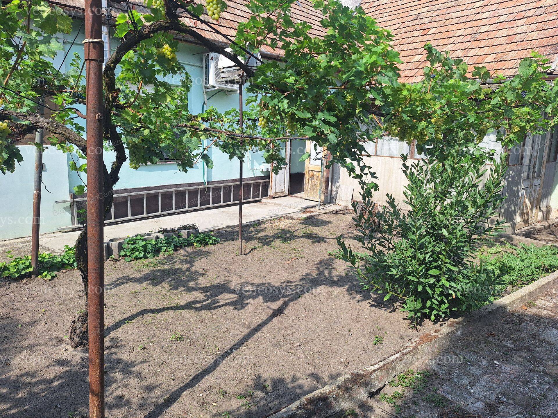 Kép 23