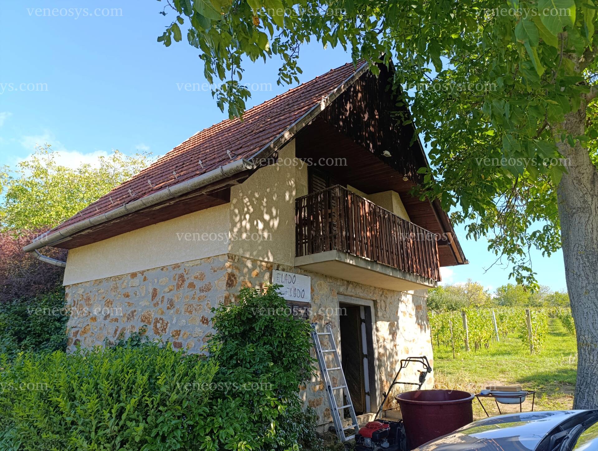 Kép 4