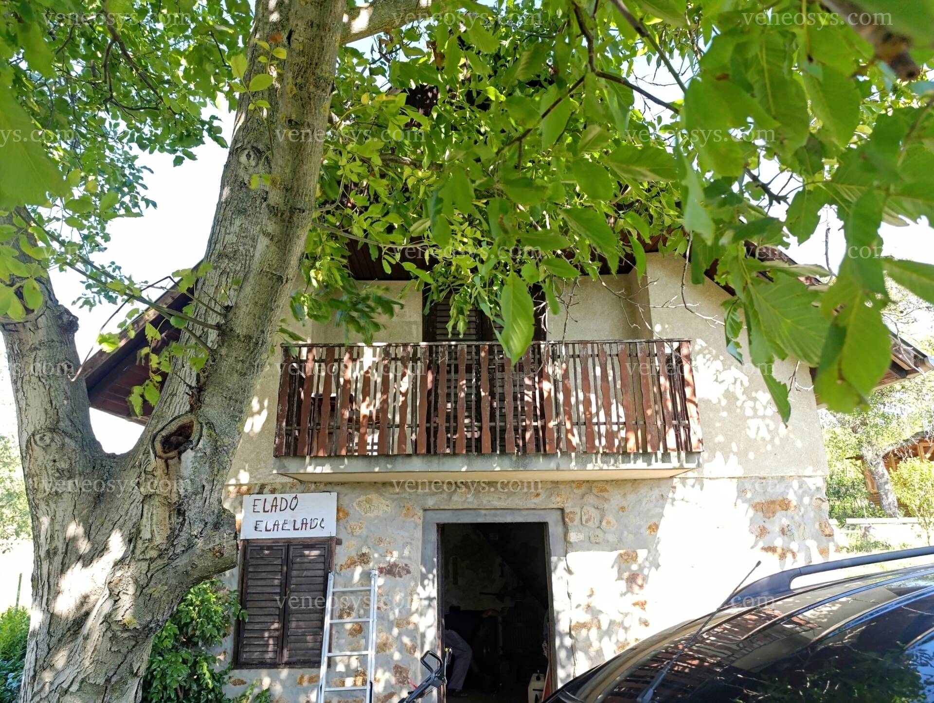 Kép 3