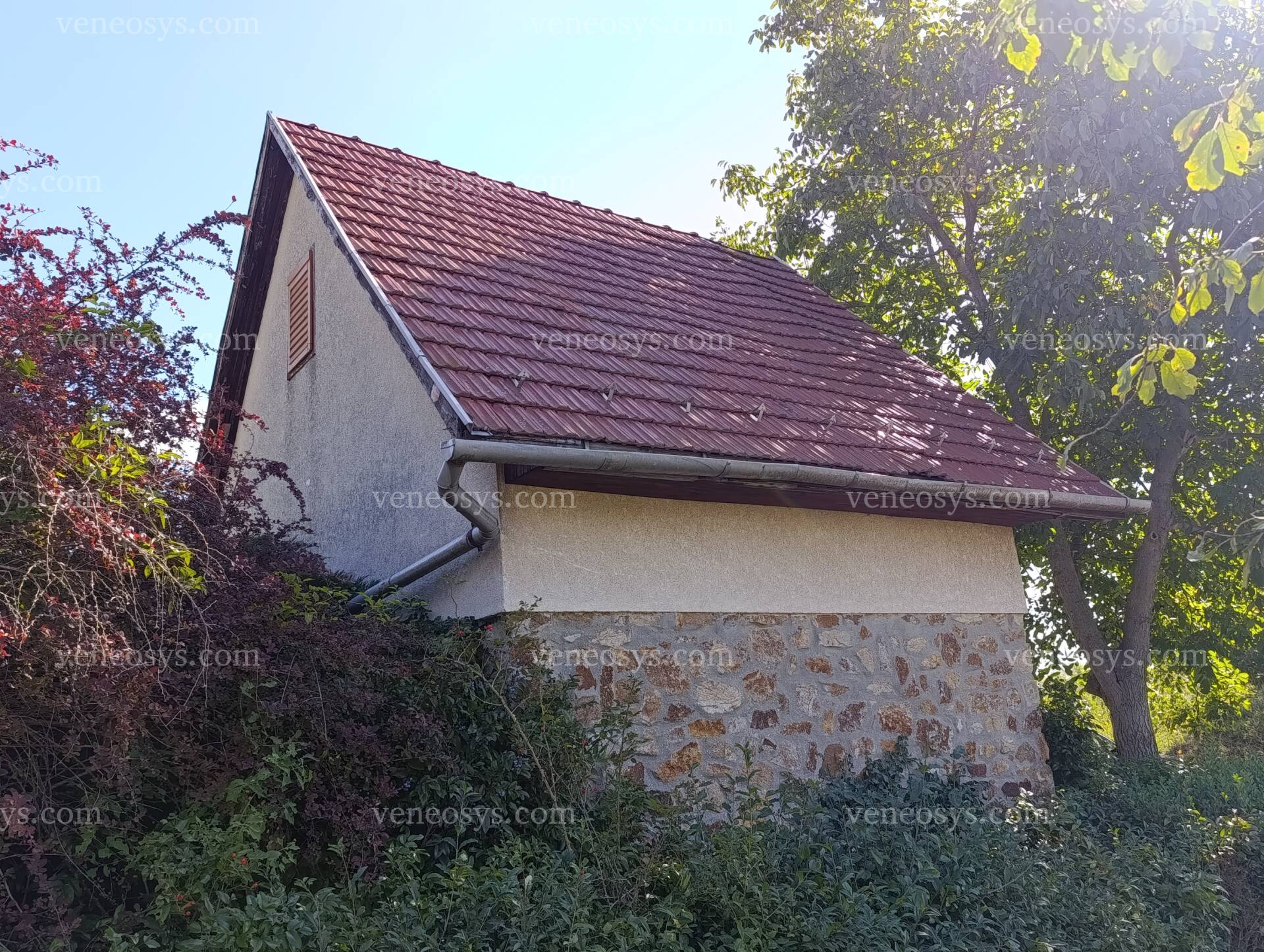 Kép 8