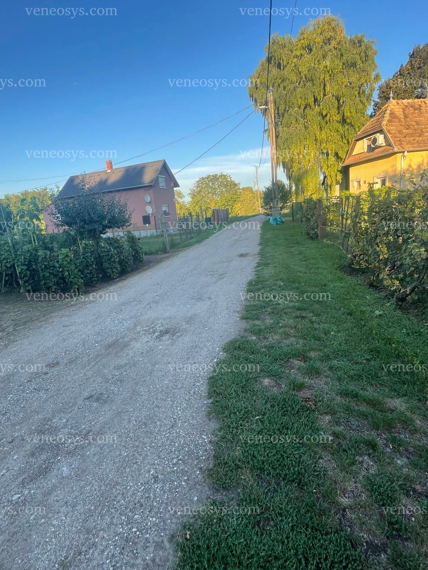 Kép 14