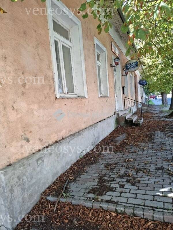 Kép 10