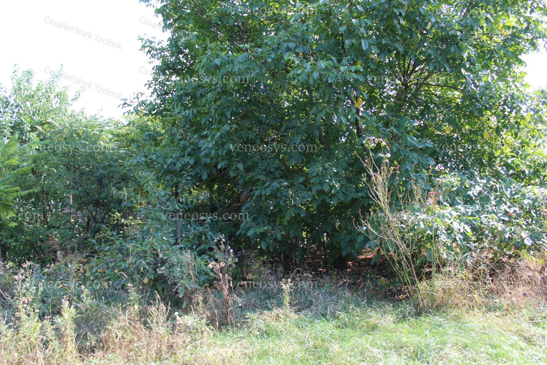 Kép 29