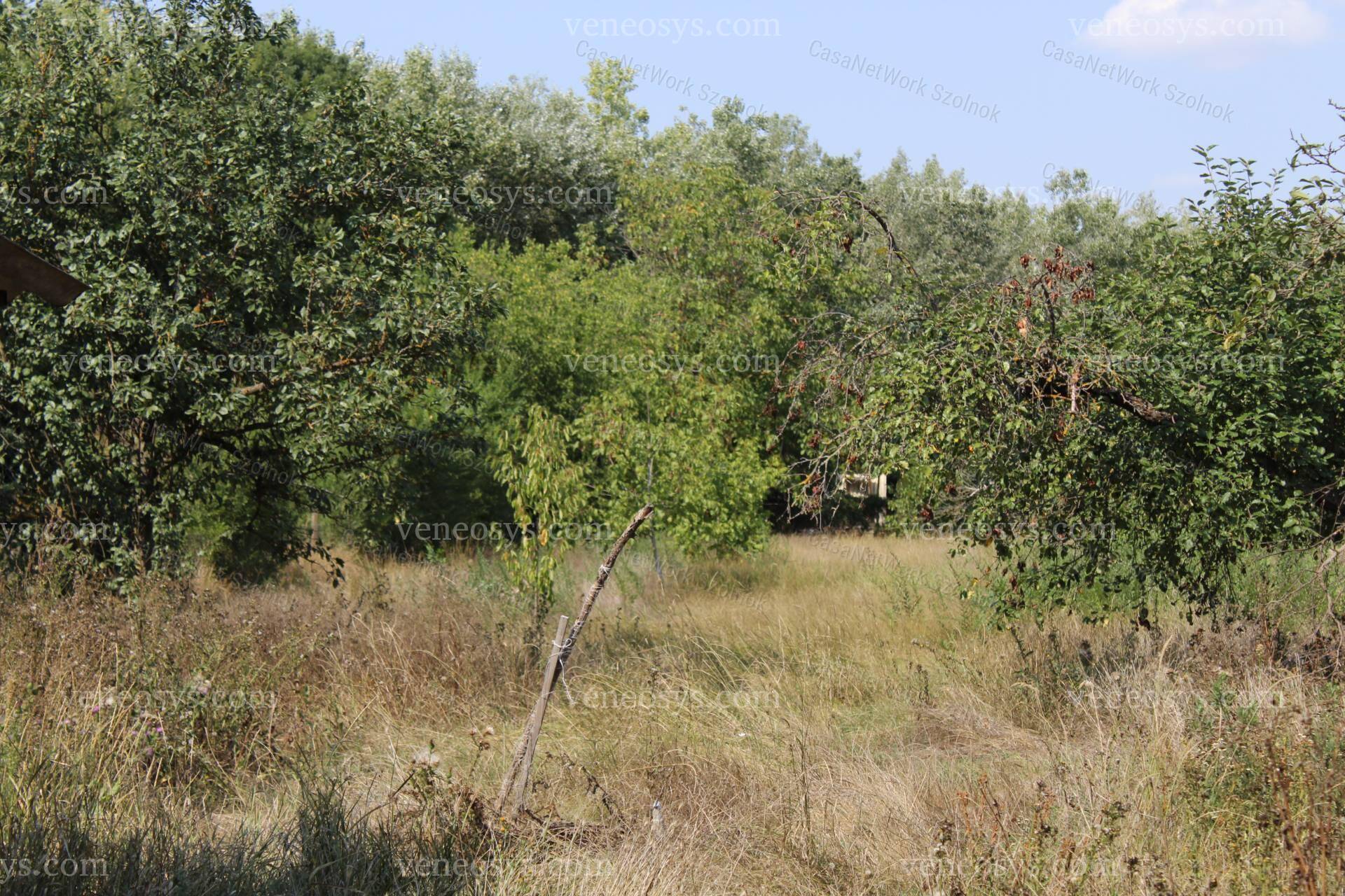 Kép 28