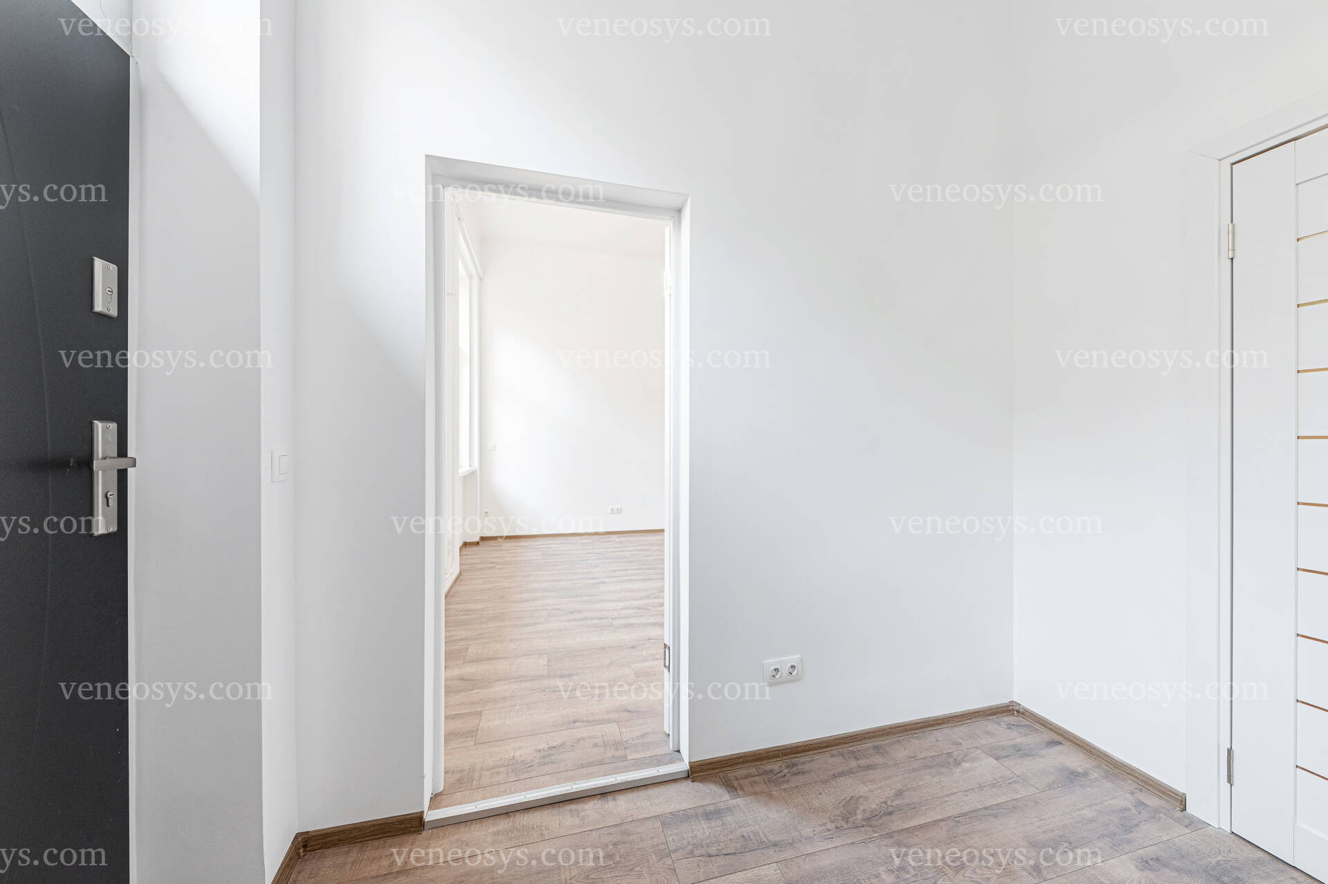 Kép 13
