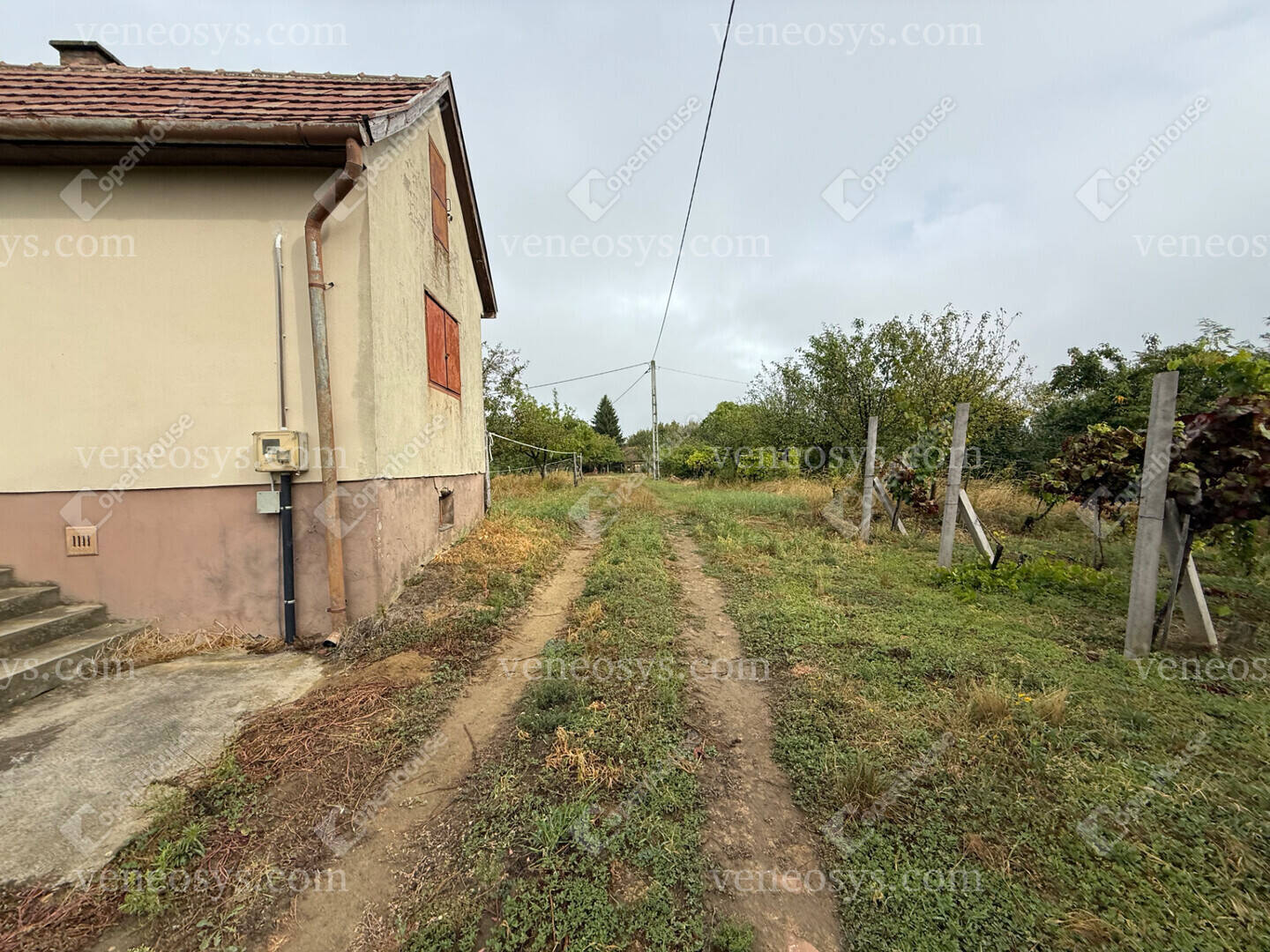 Kép 7