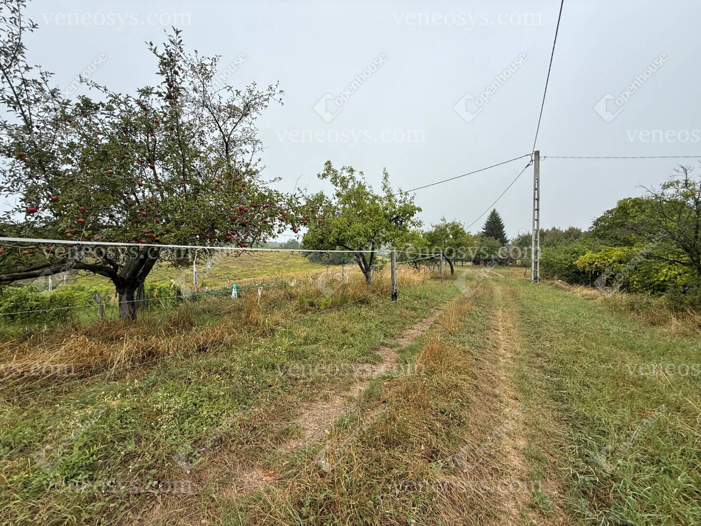 Kép 16