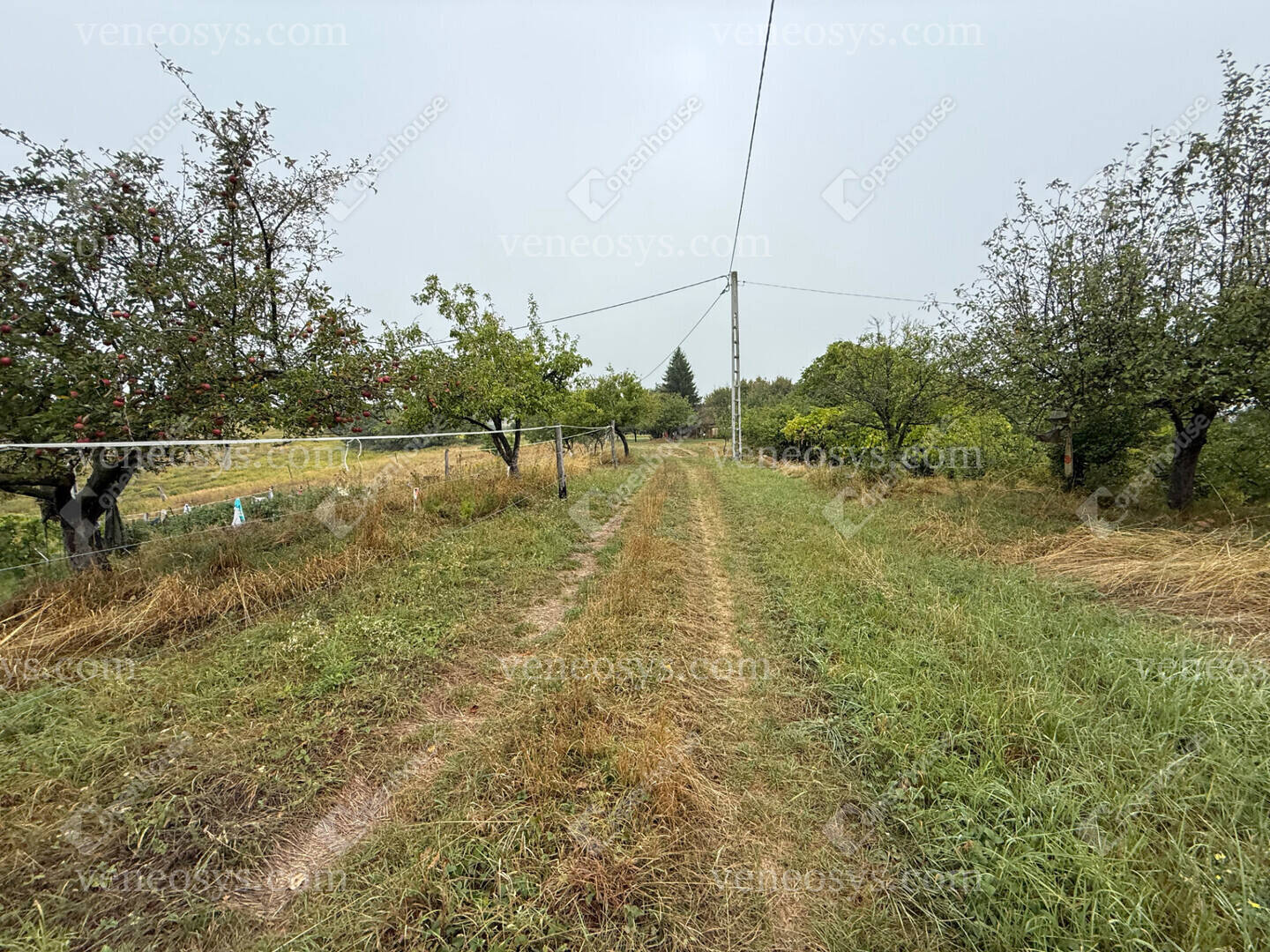 Kép 14