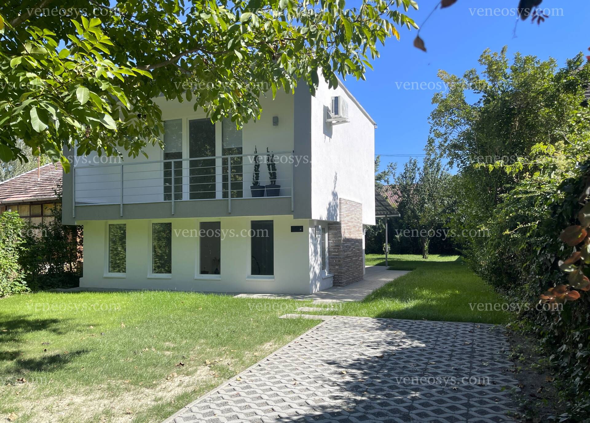 Kép 45