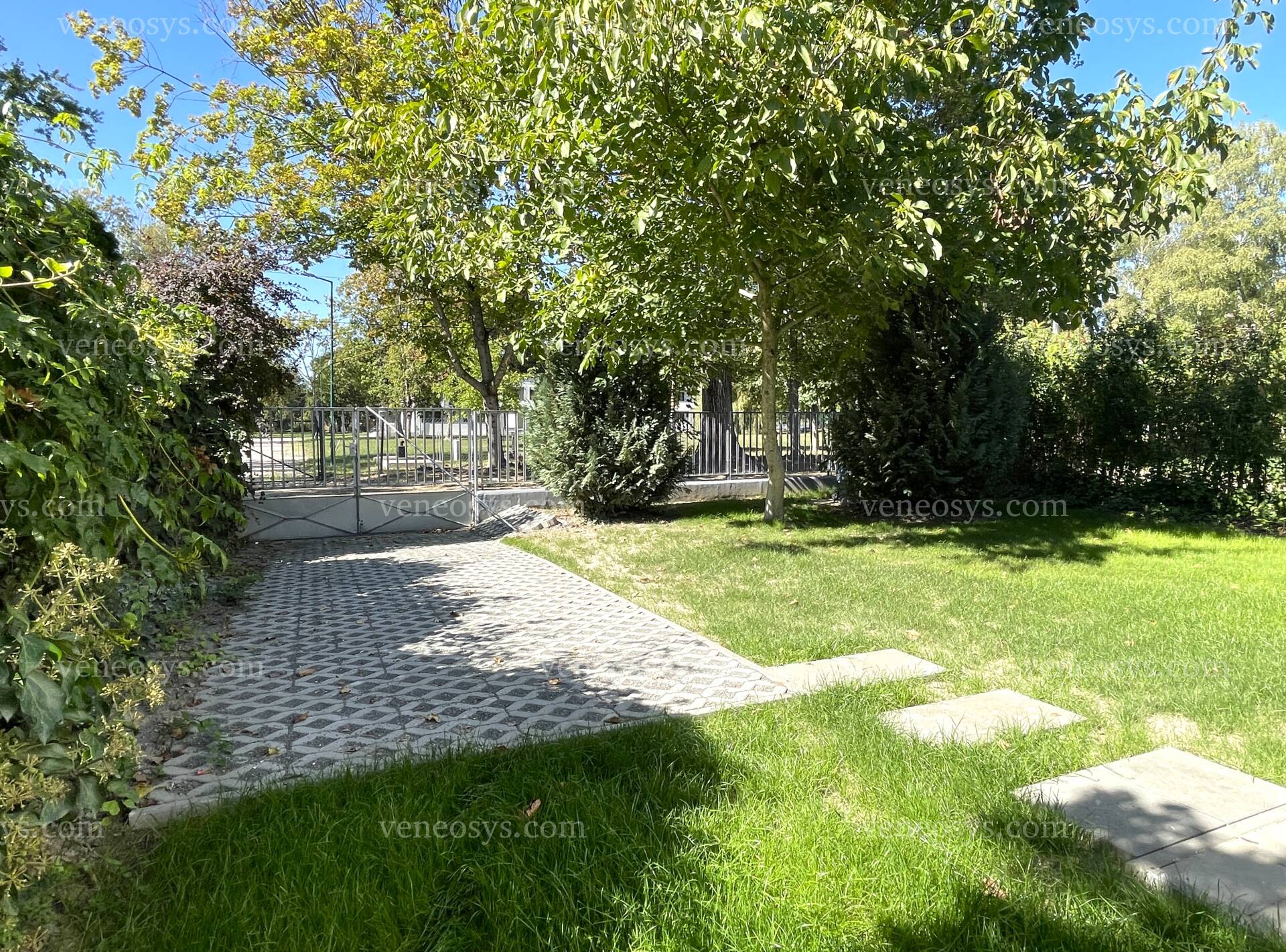 Kép 46