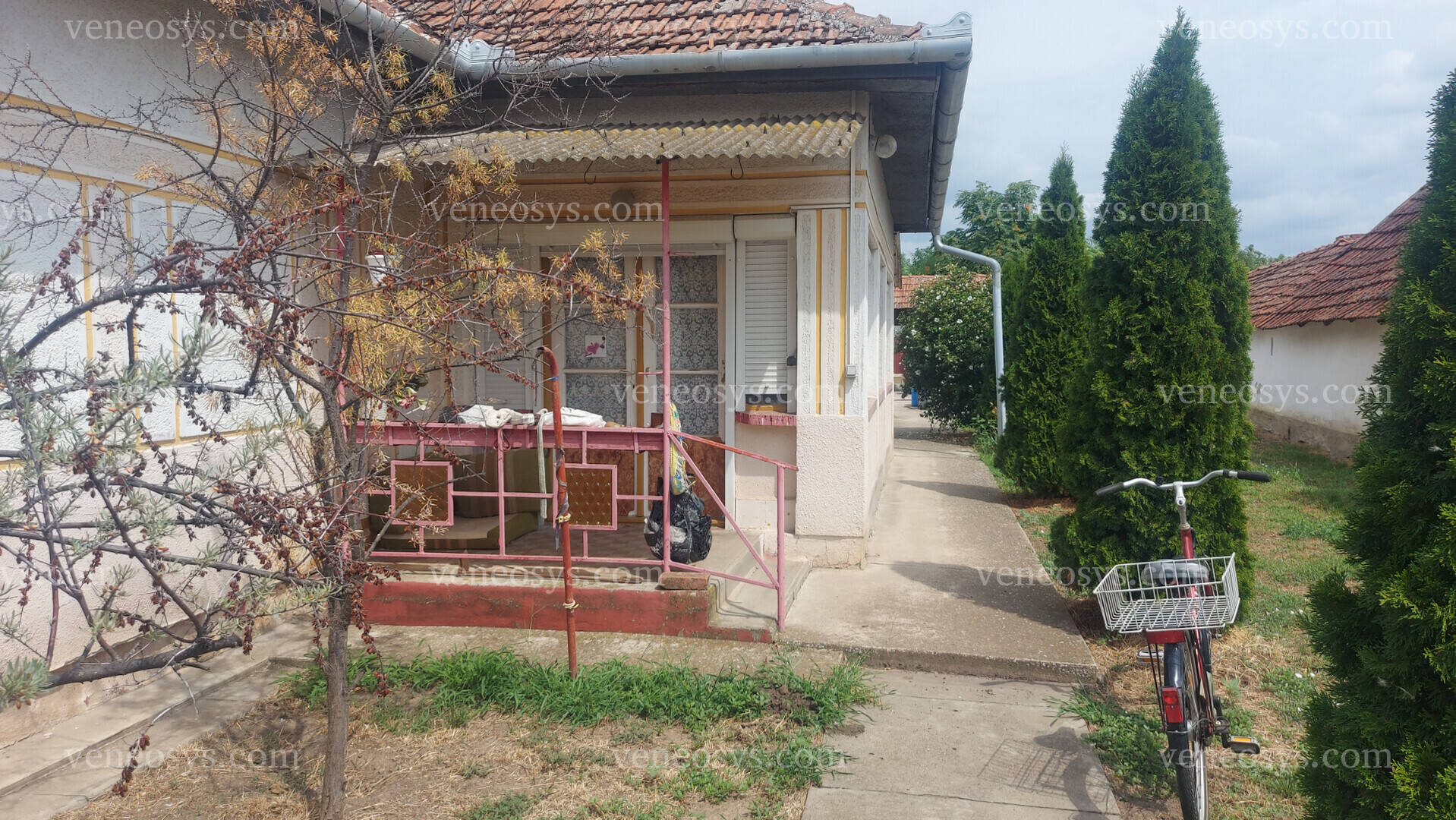 Kép 12