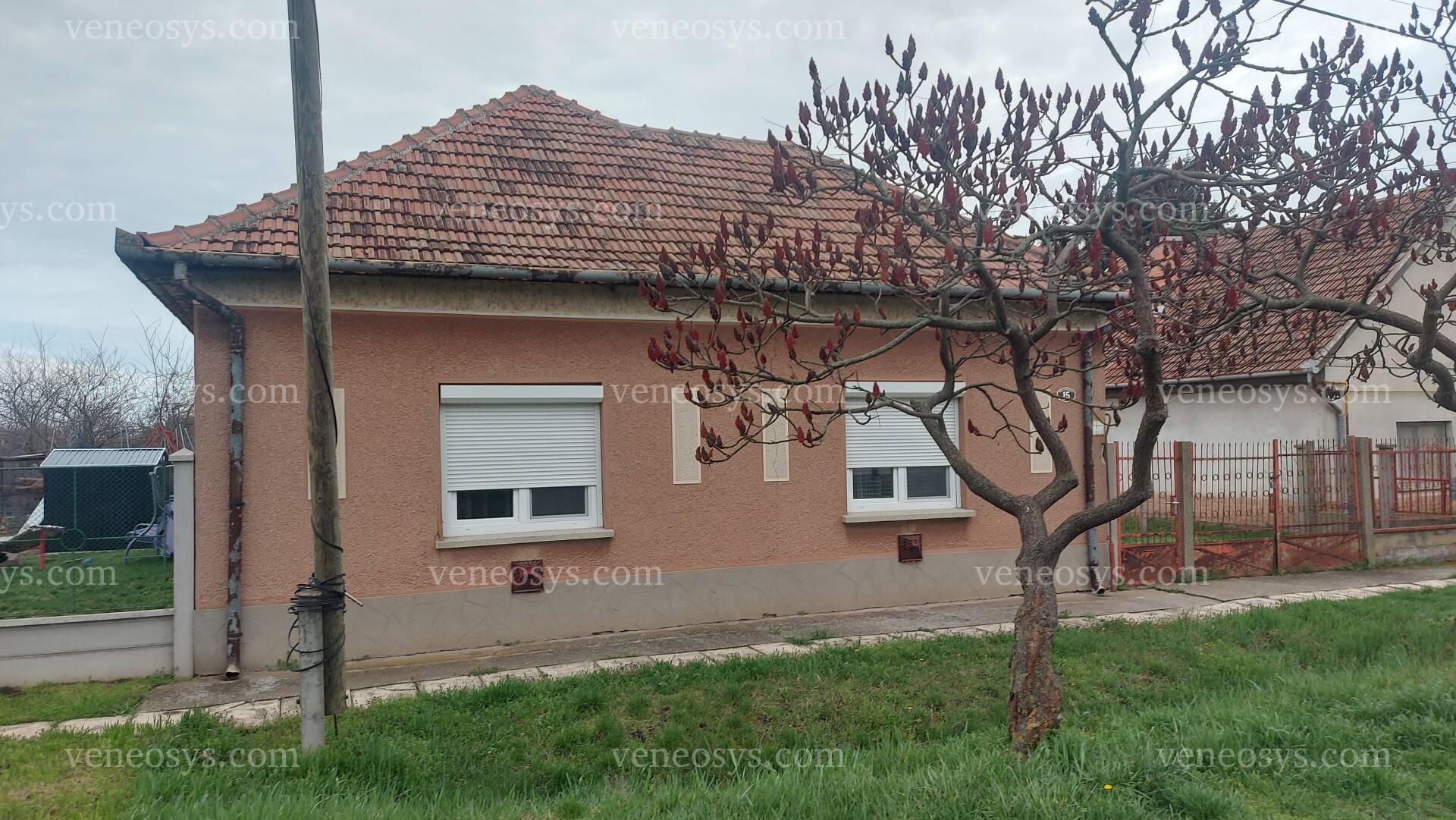 Kép 20