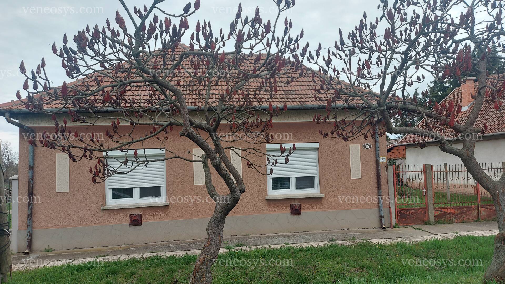 Kép 19