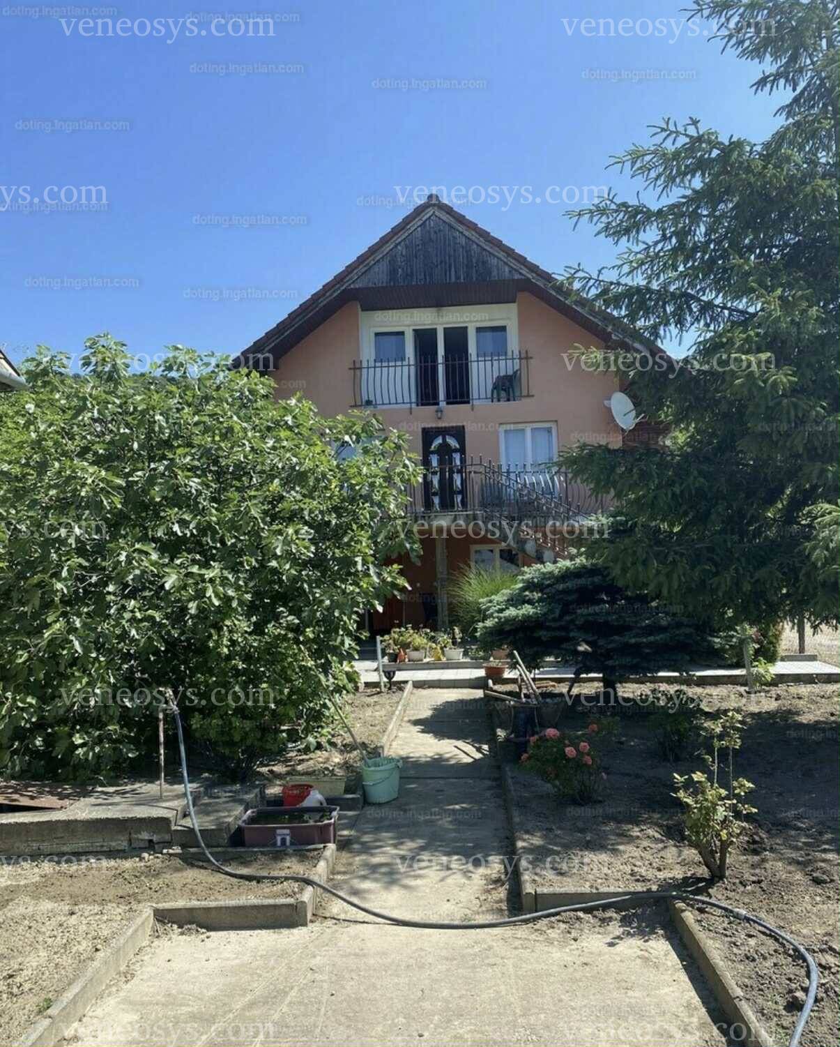 Kép 6