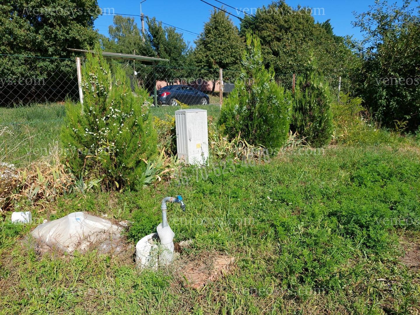 Kép 7