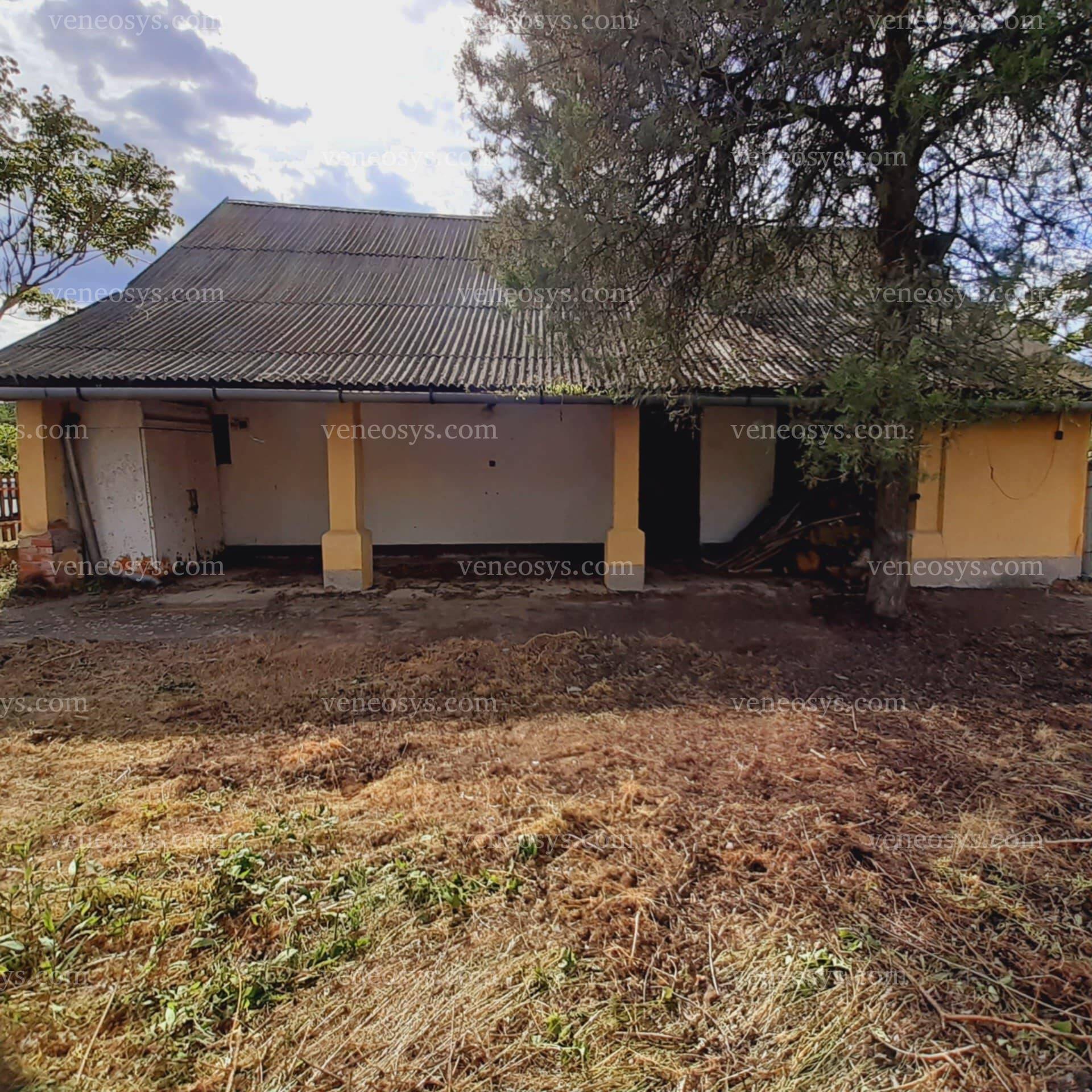 Kép 12