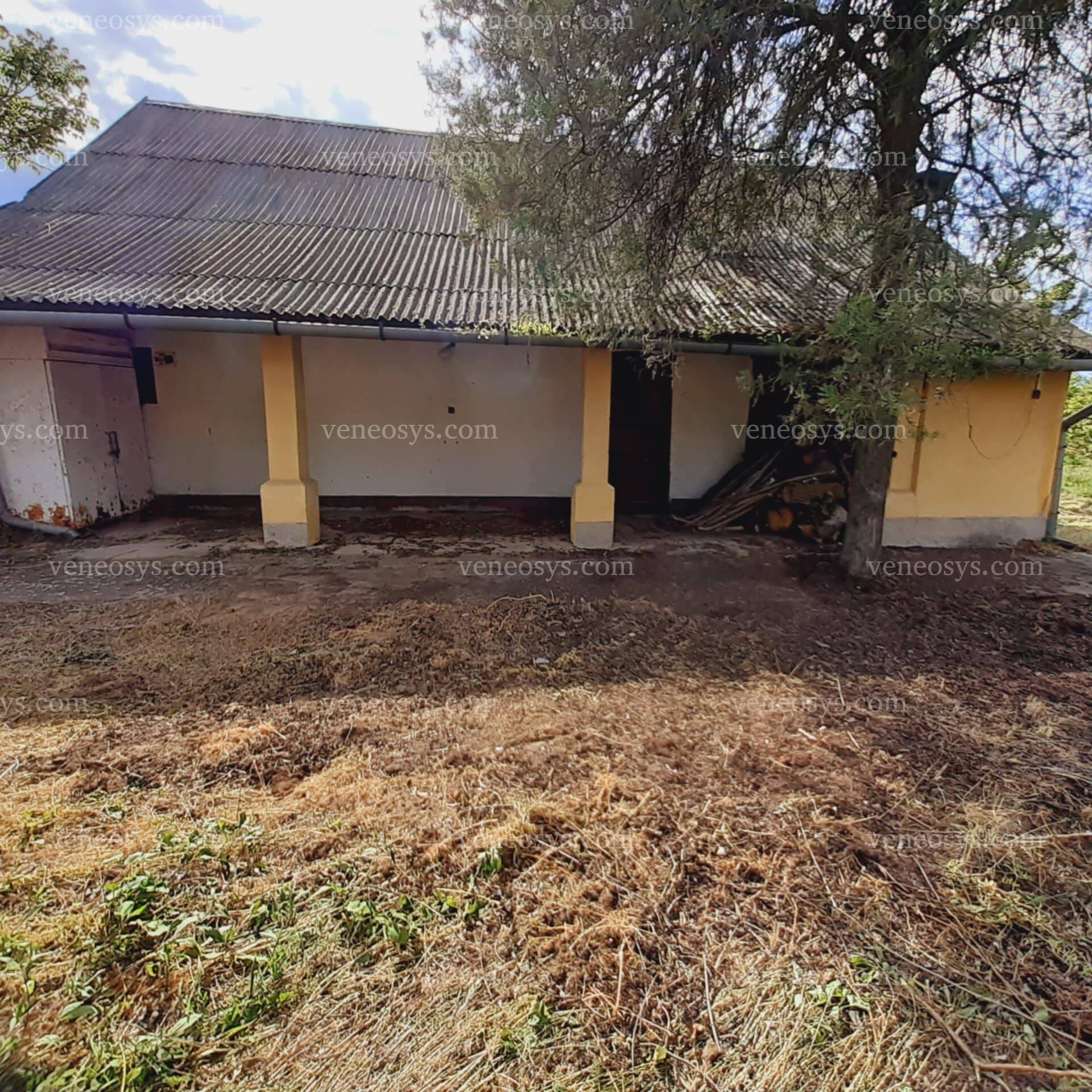 Kép 8