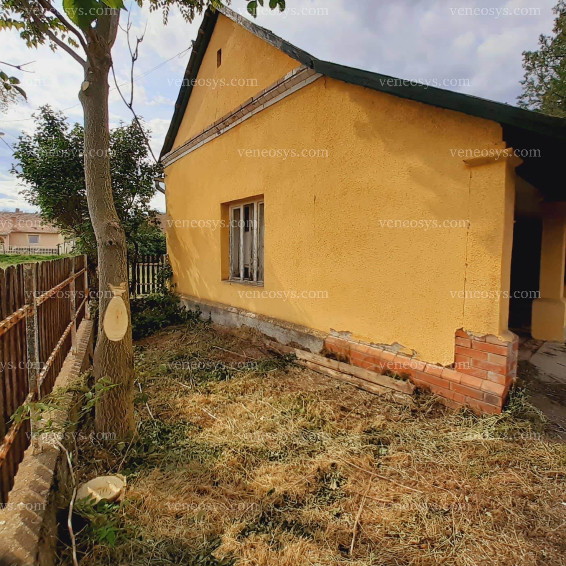 Kép 10