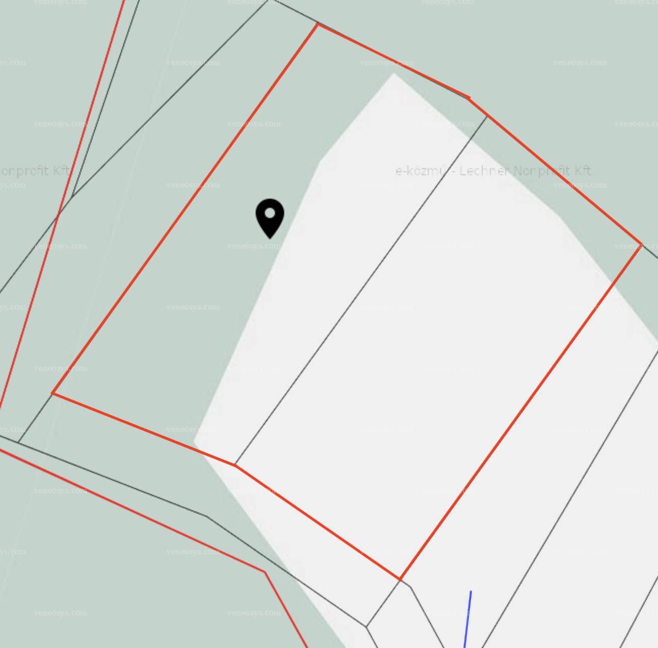 Kép 5