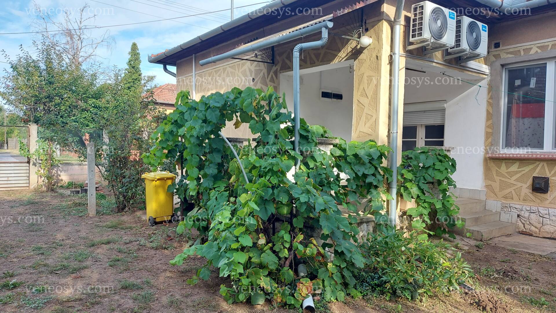 Csanádapáca