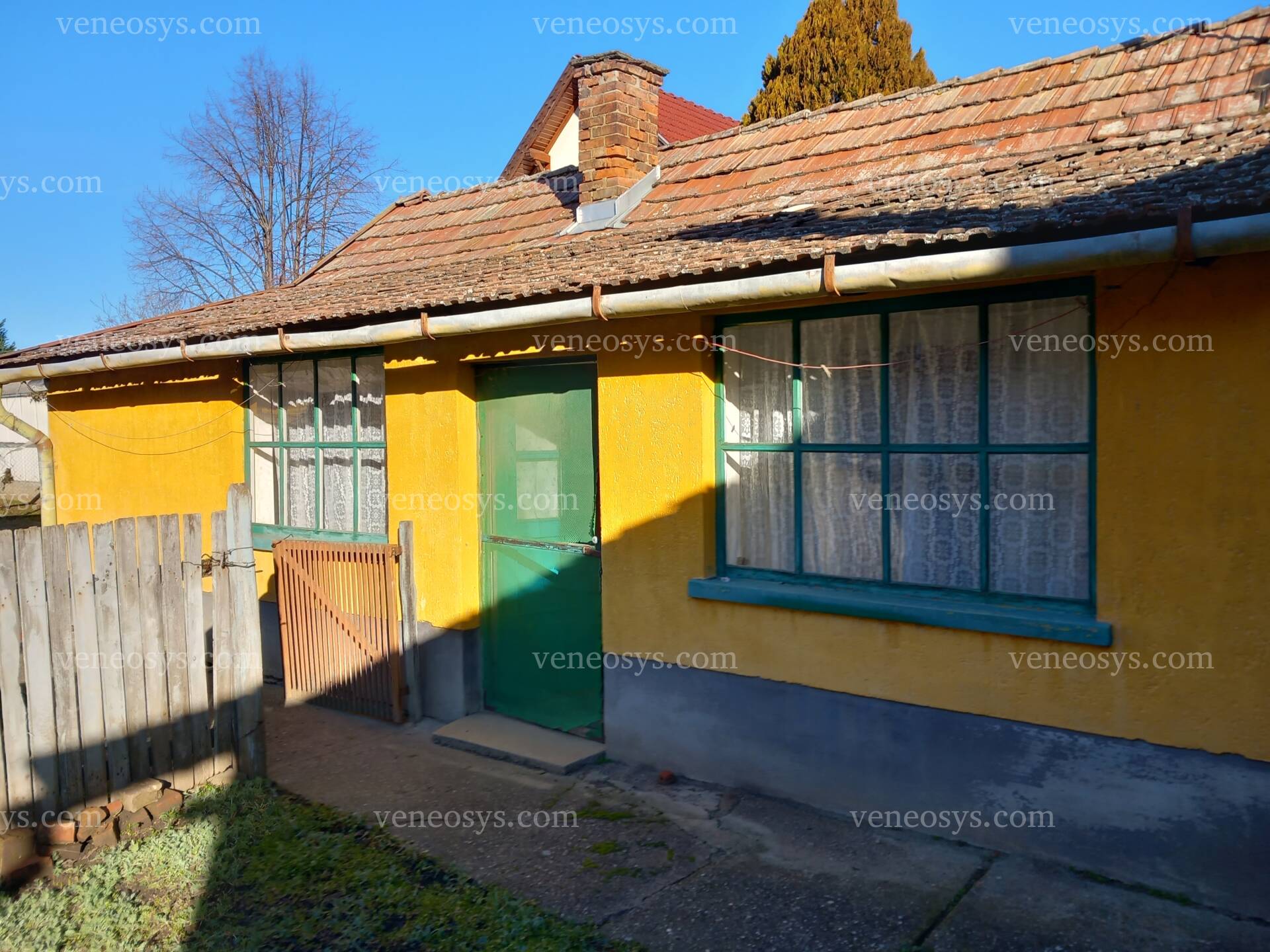 Kép 5