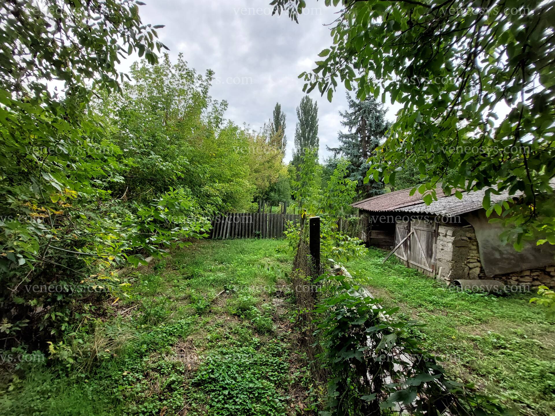Kép 11