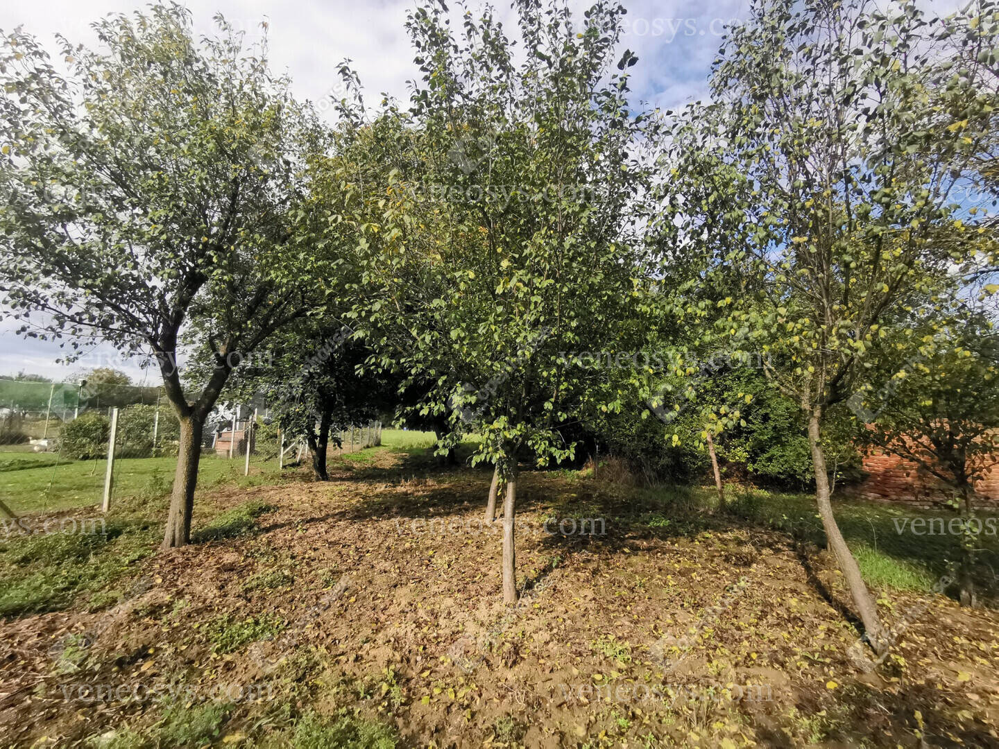 Kép 8