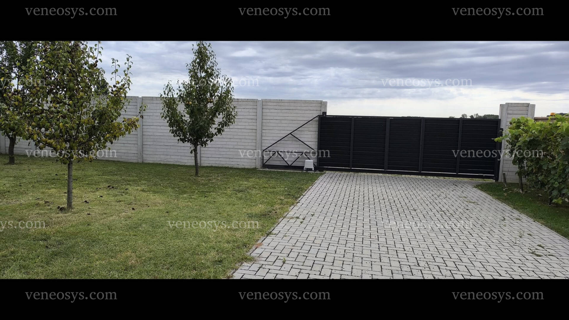 Kép 19