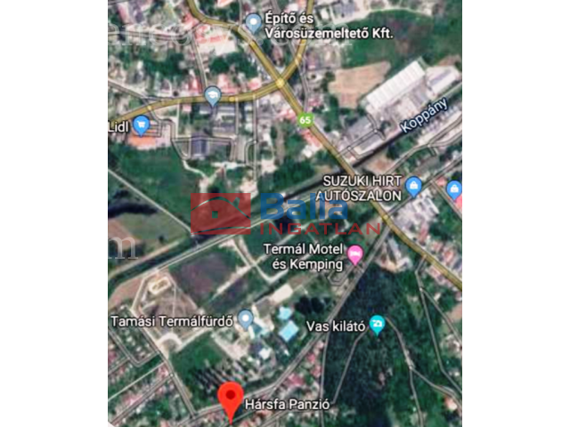 Kép 13