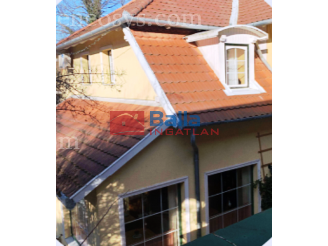 Kép 5