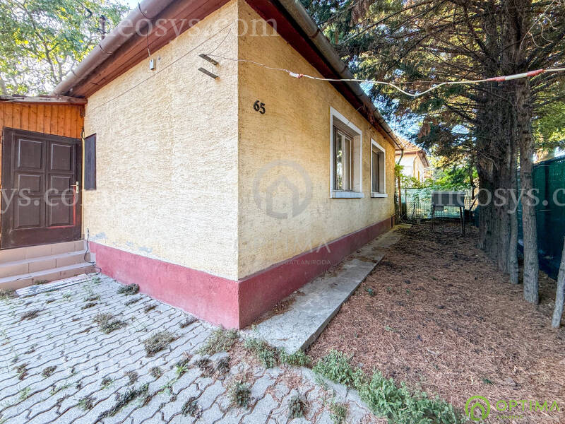 Kép 17