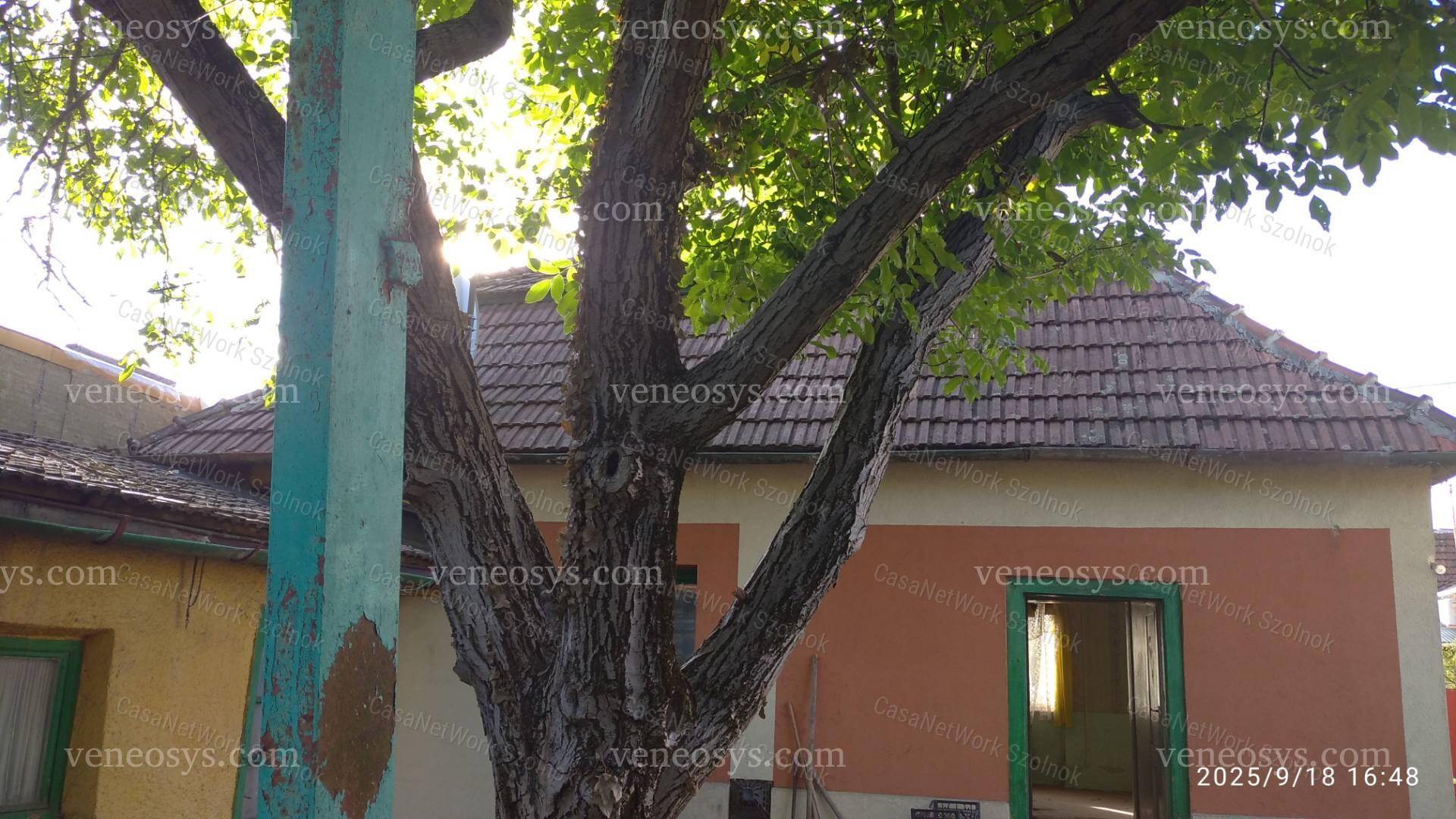 Kép 19
