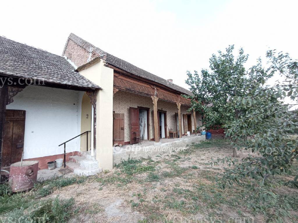 Kép 10
