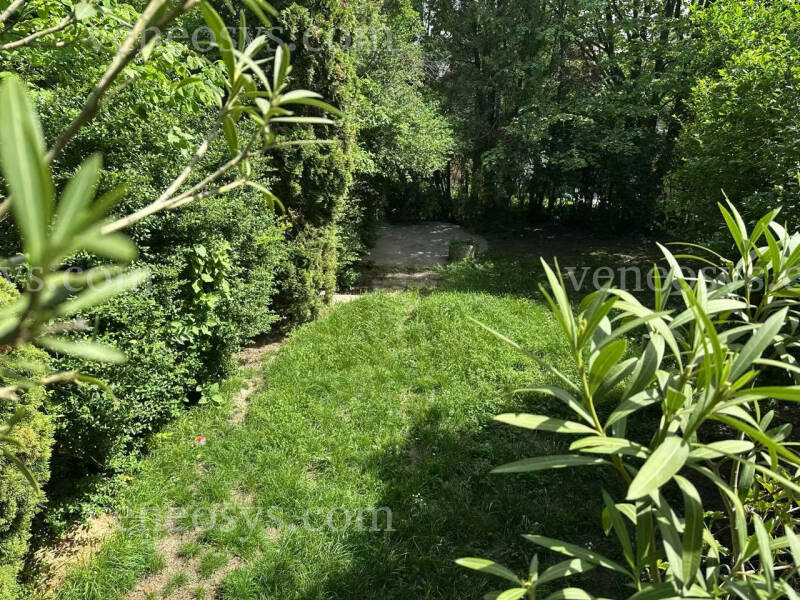 Kép 19