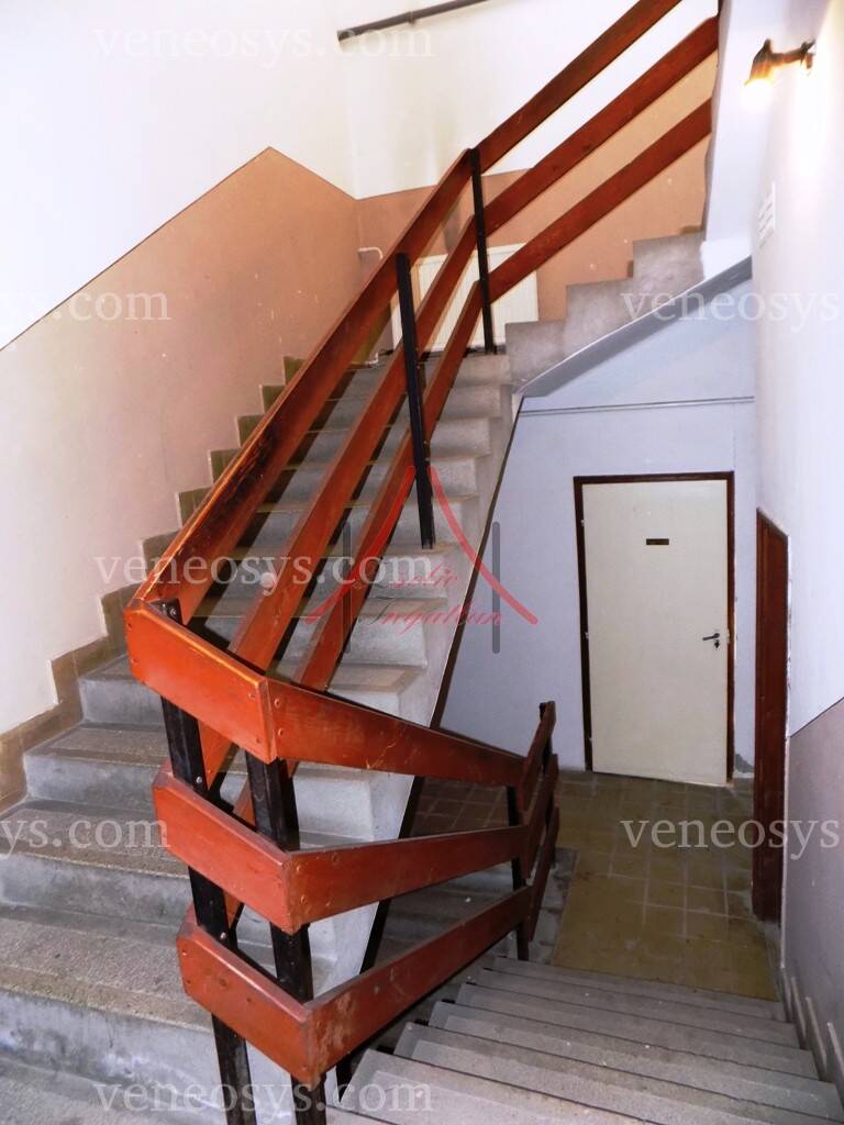 Kép 5